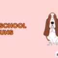 dog school puns