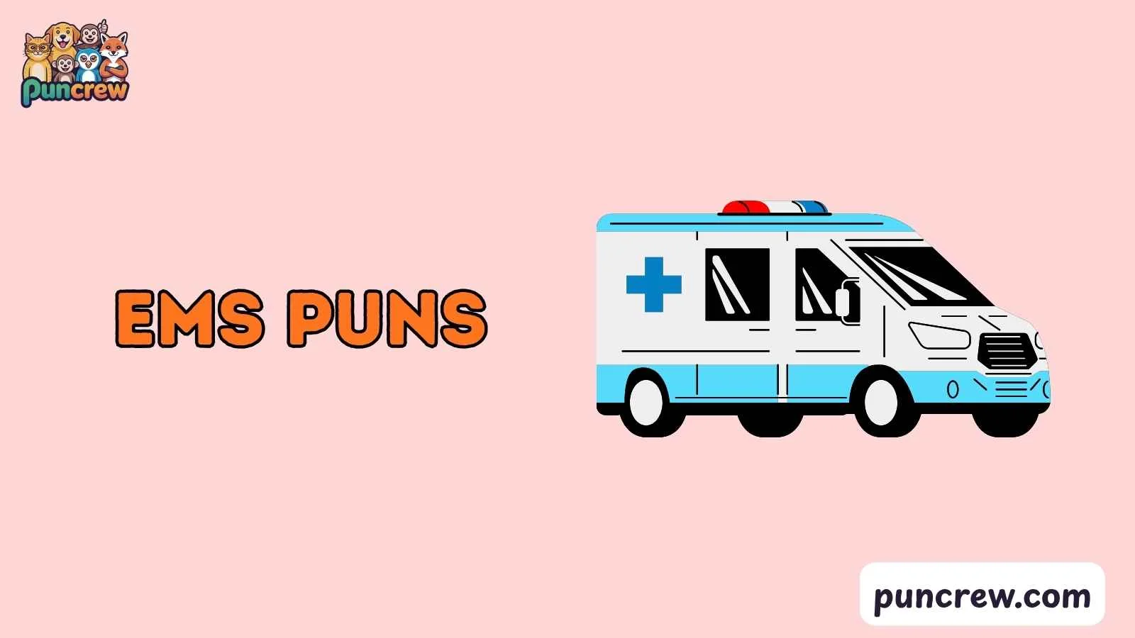 EMS Puns