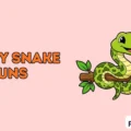 Funny Snake Puns