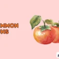 persimmon puns