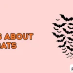 Puns About Bats