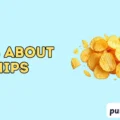 Puns About Chips