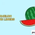 watermelon puns one liners