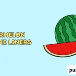 watermelon puns one liners