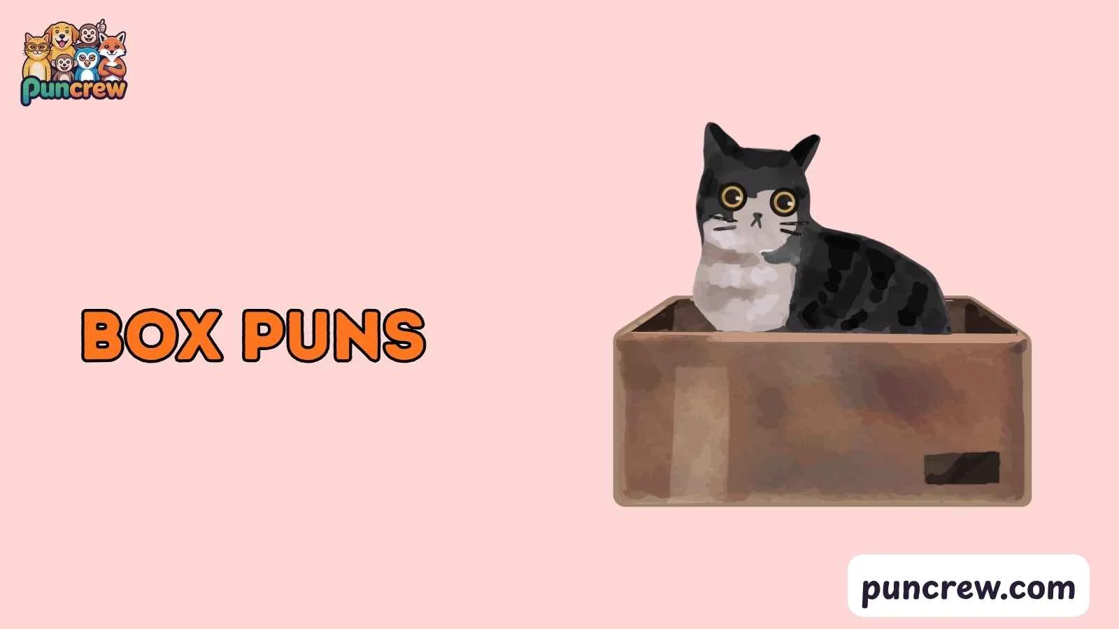 box puns