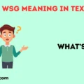 WSG Meaning in Text