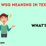 WSG Meaning in Text