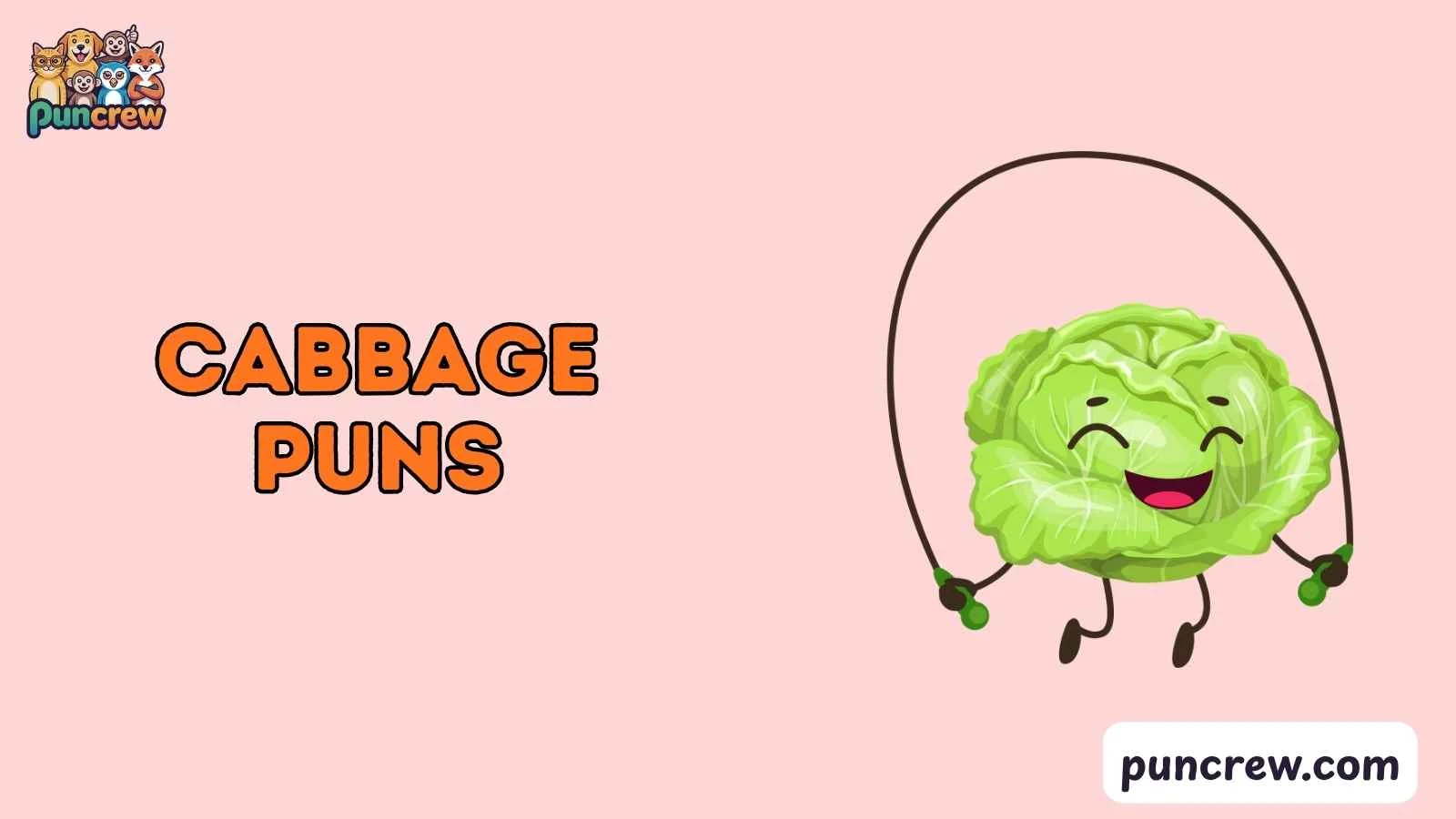 cabbage puns
