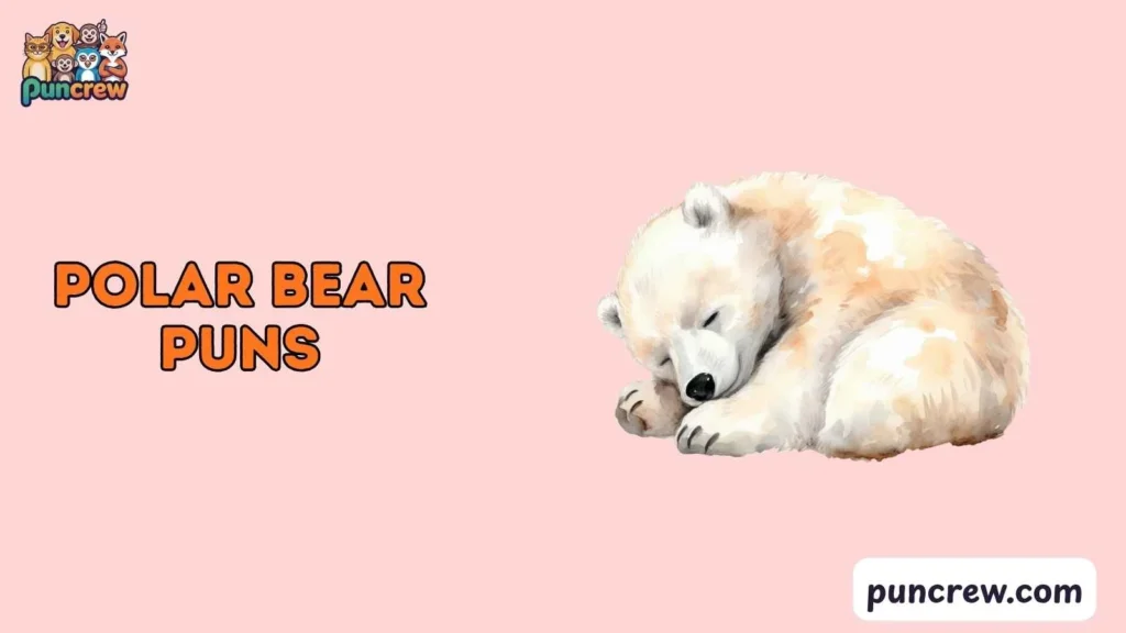 polar bear puns