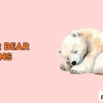 polar bear puns